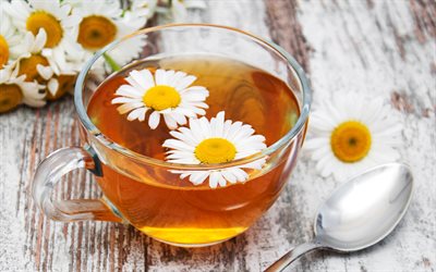 4k, camomilla, tazza di tè, cerimonia del tè, tè ai fiori, concetti di tè