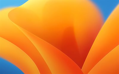 orange 3d abstract flower, 4k, macOS Ventura, Apple, 3d art, iOS 16, stock wallpaper, orange flower, 3d background