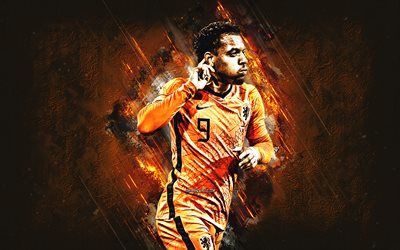 donyell malen, équipe nationale de football des pays-bas, fond de pierre orange, joueur de football néerlandais, football, pays-bas