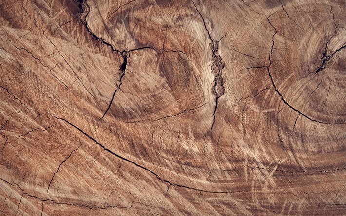 ウッド テクスチャ, 4k, 茶色の木製の背景, オーク材のテクスチャ, 茶色の木目テクスチャ, オーク, 木製の背景