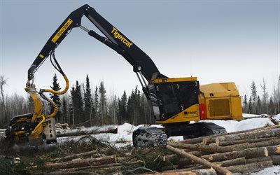 tigercat h855c, inverno, 2015 mietitrebbia, mietitrice gialla, attrezzature speciali, industria della lavorazione del legno, disboscamento, tigercat