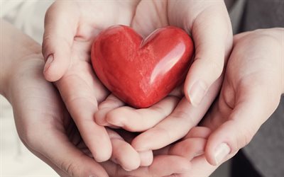 coração vermelho nas mãos, 4k, seguro de vida, seguro médico, coração vermelho, família conceitos, seguros conceitos, cuidar de sua saúde, cardiologia conceitos