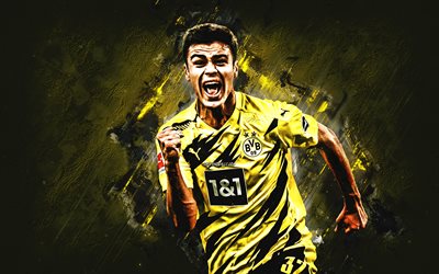 Giovanni Reyna, Borussia Dortmund, American footballer, BVB, Bundesliga, Germany, football, yellow stone background