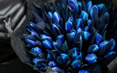 blaue tulpen, 4k, strauß tulpen, tulpen in papier, frühlingsblumen, makro, blaue blumen, tulpen, schöne blumen, hintergründe mit tulpen, blaue knospen