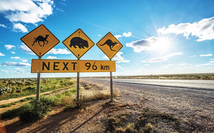 눌라보 평원, 4k, 도로, 도로 표지판, 솔직한, 모험, 여름, 호주, 아름다운 자연