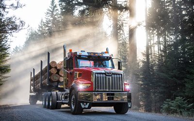 Western Star 49X, front view, exterior, timber truck, log transportation, timber transportation, tree felling, american trucks, Western Star