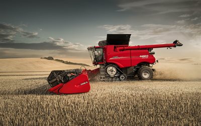 Case IH Axial Flow-9250, 4k, wheat harvesting, 2022 harvesters, agricultural machinery, red combine, red harvest, wheat transportation, agricultural concepts, Case IH