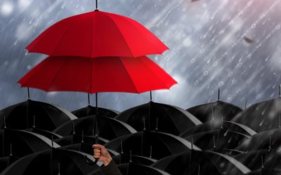 リーダーシップの概念, 4k, 盟主, 赤い傘, リーダーになる, 異なる, 黒い傘の上に赤い傘, ビジネスコンセプト, リーダーの概念