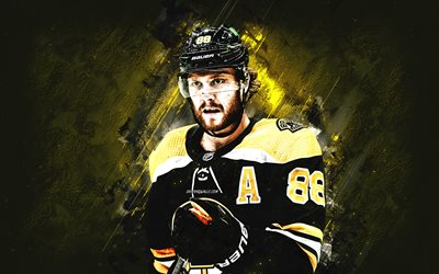 David Pastrnak, Boston Bruins, NHL, Pasta, Czech hockey player, portrait, yellow stone background, hockey, National Hockey League